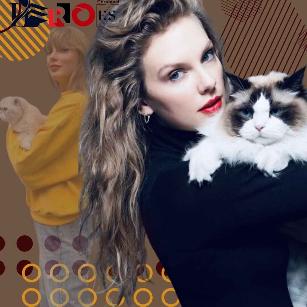 Taylor net worth