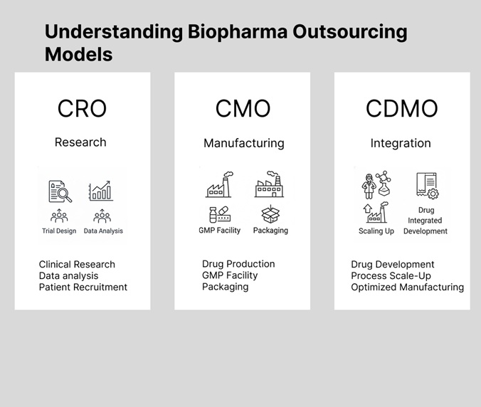 Selecting the Right Preclinical Partner: Essential Evaluation Criteria for CRO Selection in Biotech